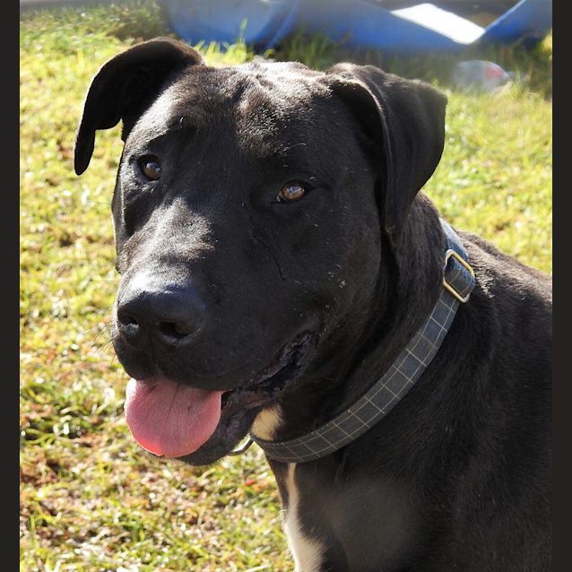 Photo of Duke