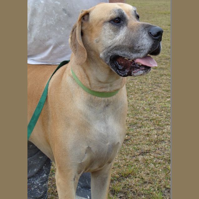 Photo of Bodhi