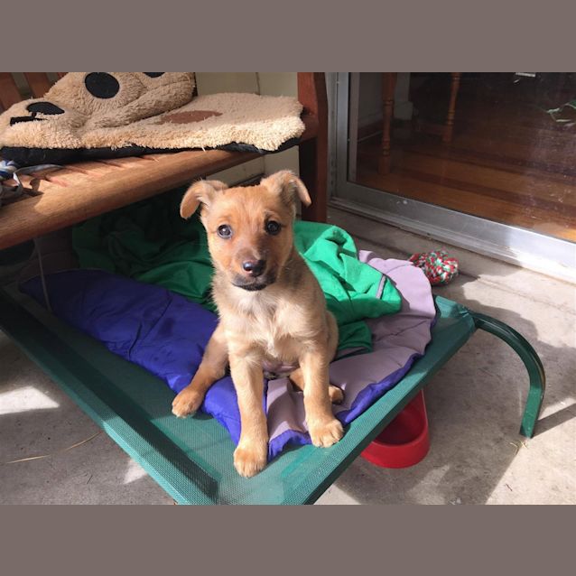 Photo of Hazel