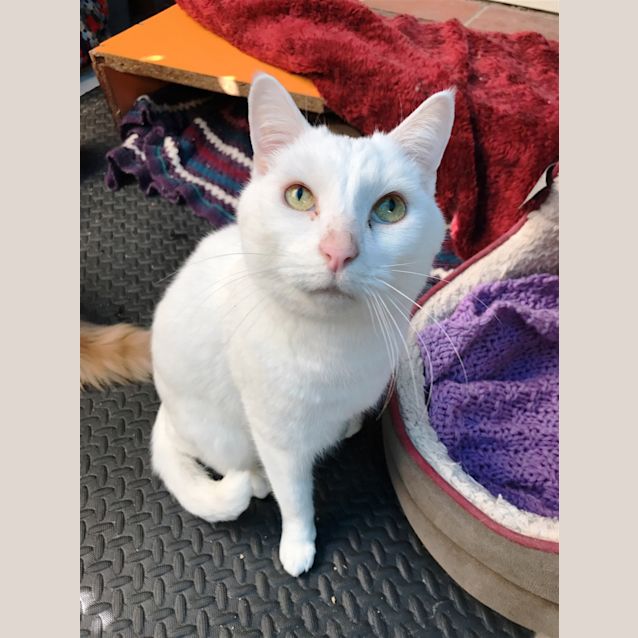 Photo of Hugh Catman