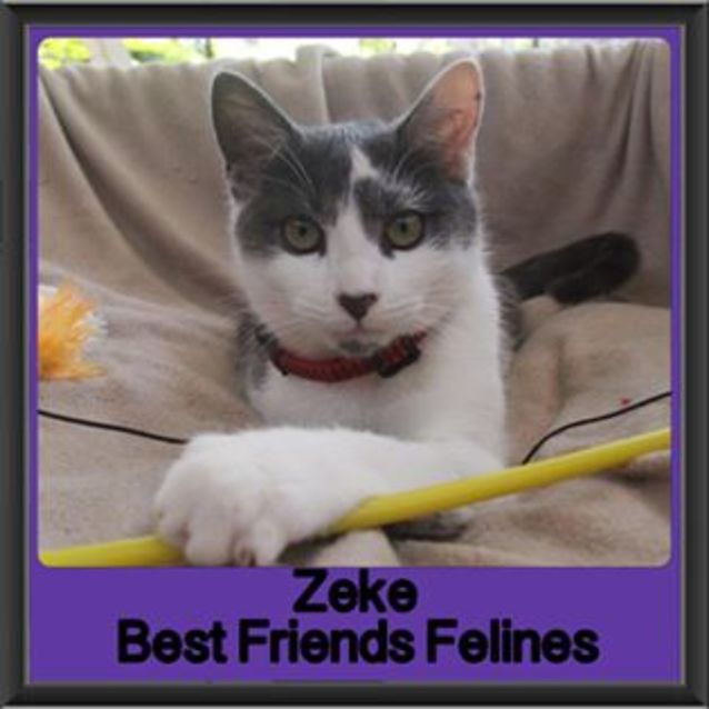 Photo of Zeke