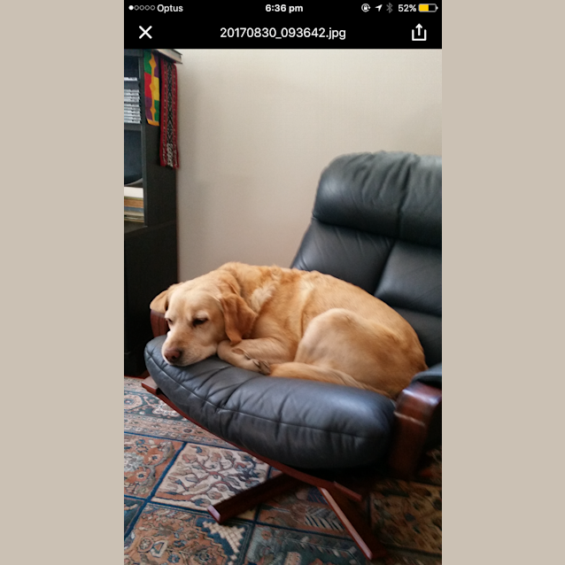 Photo of Sandy