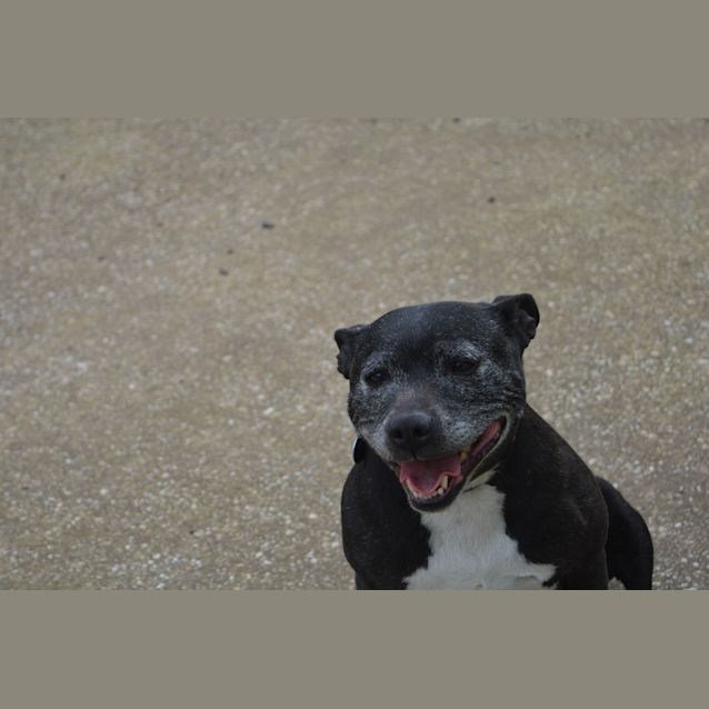 Photo of Miss Murphy