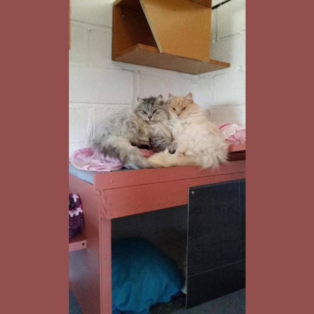 Photo of Billy And Basil