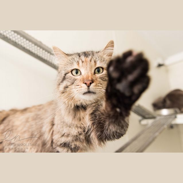 Photo of Sebastian (3583)