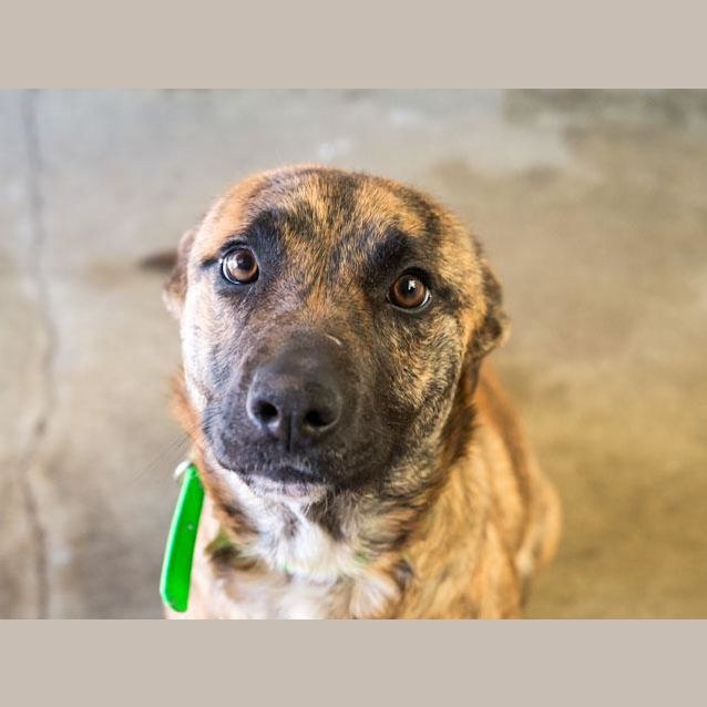 Photo of Lucy (3214)