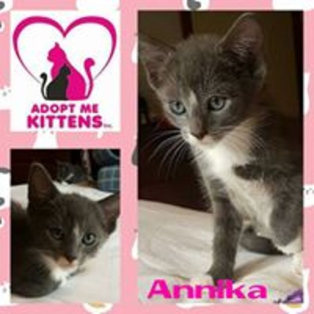 Photo of Annika