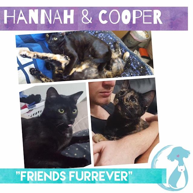 Photo of Hannah & Cooper 