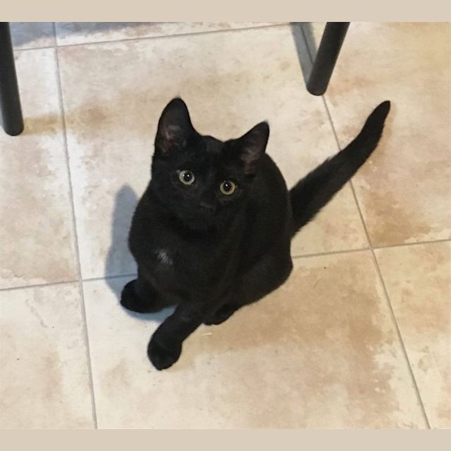 Photo of Jet