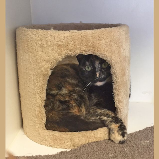 Photo of Imogen Sta001358
