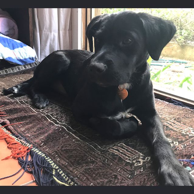Photo of Spook