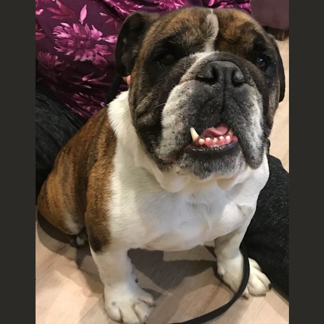 Photo of Turbo
