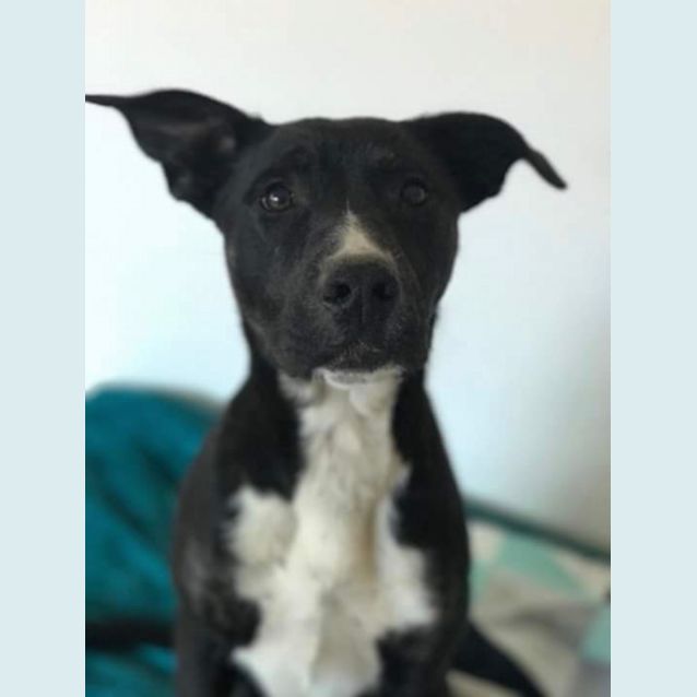 Photo of Jenny