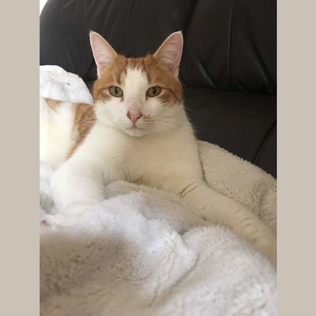 Photo of Mr Mo Perkins