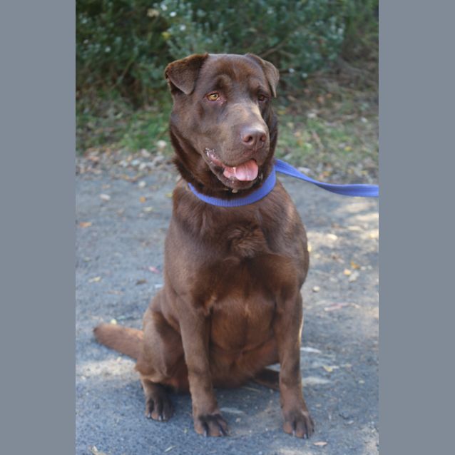 Photo of Coco