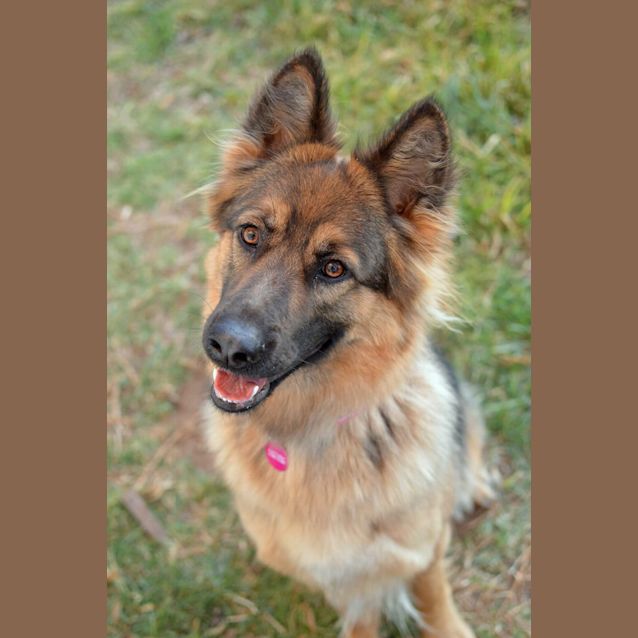 Photo of Sena   Meet And Greet Organised