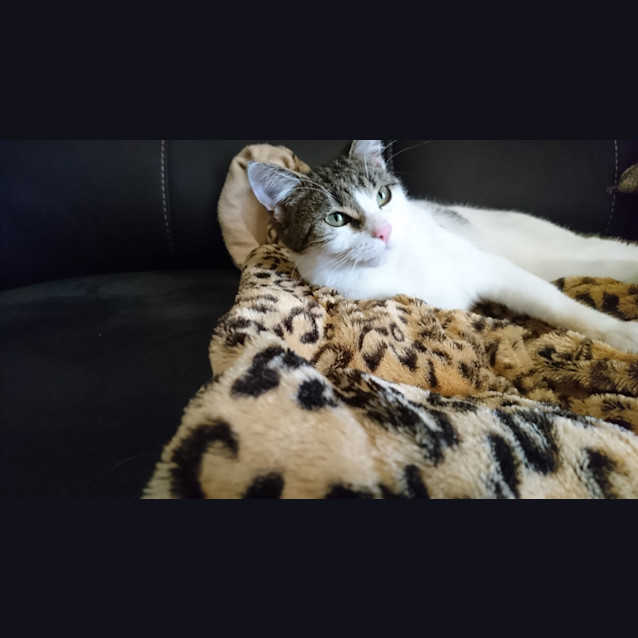 Photo of Katalina (Kat)