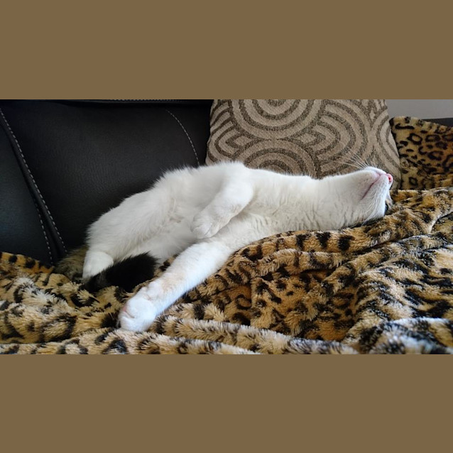 Photo of Katalina (Kat)