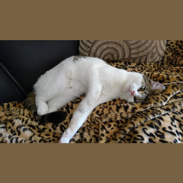 Photo of Katalina (Kat)