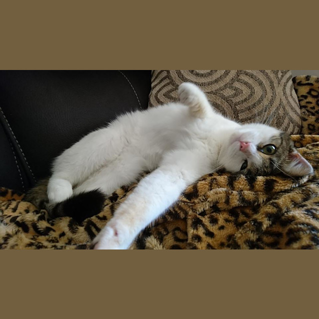 Photo of Katalina (Kat)