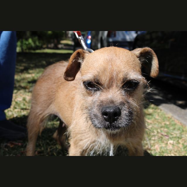 Photo of Wilma