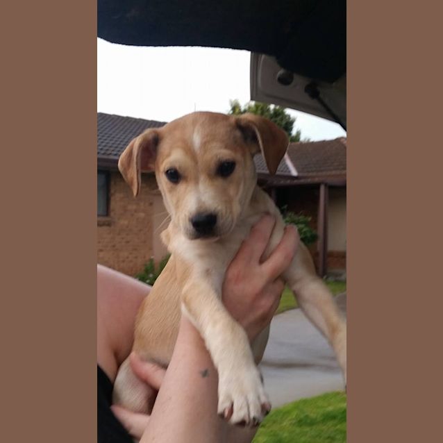 Photo of Oliver 