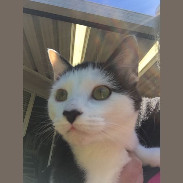 Photo of Alfie