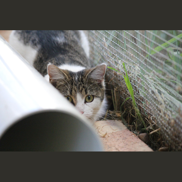 Photo of Katalina (Kat)