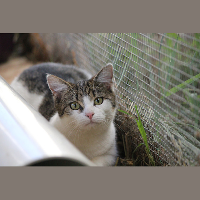 Photo of Katalina (Kat)