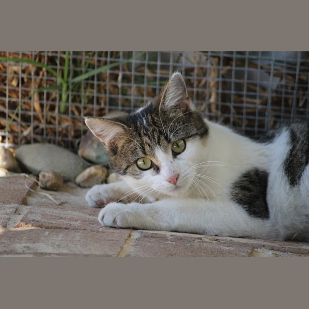 Photo of Katalina (Kat)