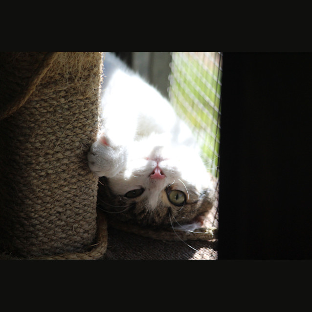 Photo of Katalina (Kat)