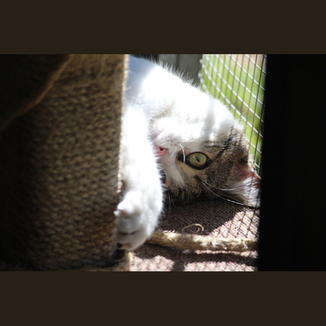 Photo of Katalina (Kat)