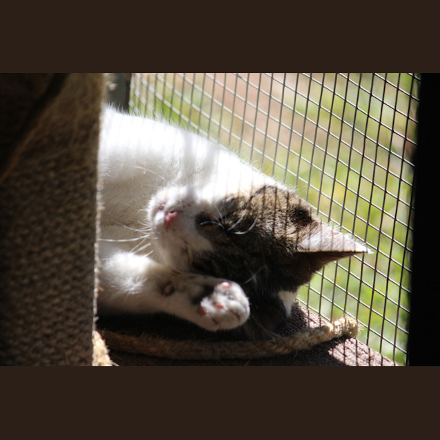 Photo of Katalina (Kat)