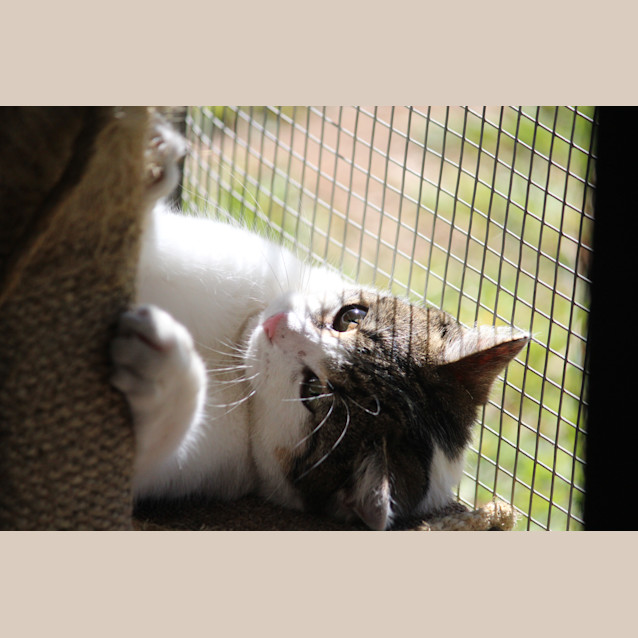 Photo of Katalina (Kat)