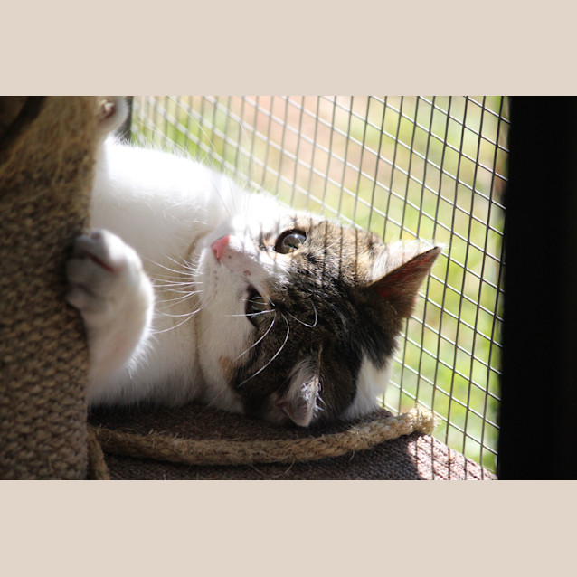 Photo of Katalina (Kat)