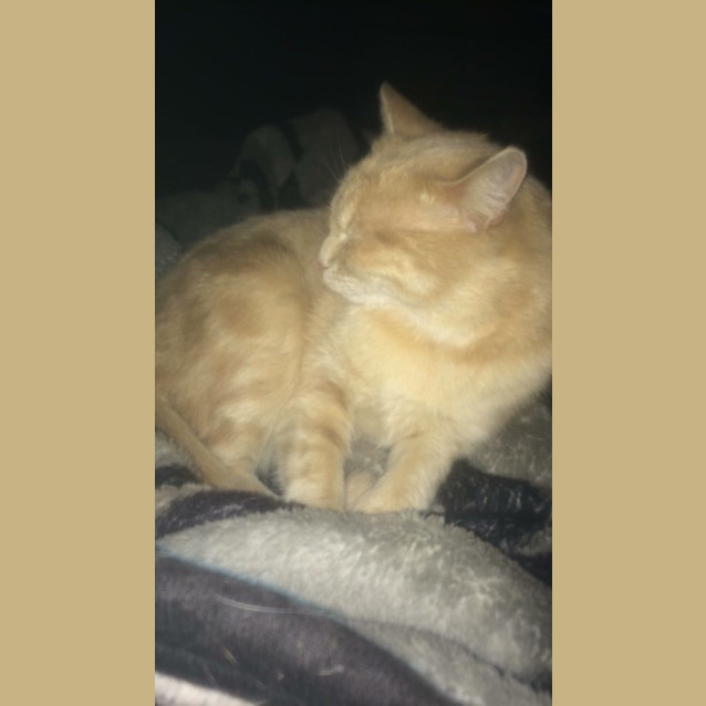 Photo of Chance