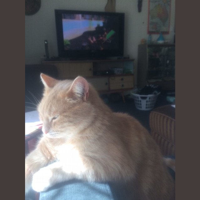 Photo of Chance
