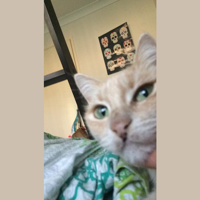 Photo of Chance