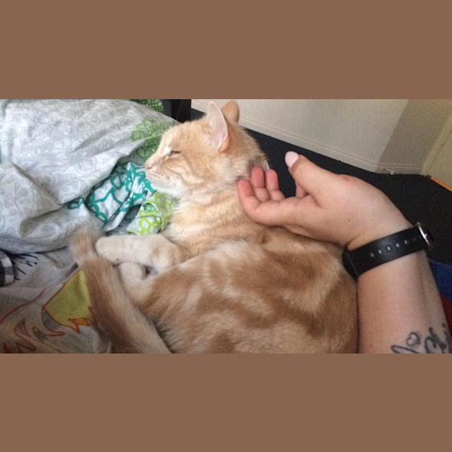 Photo of Chance