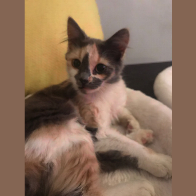 Photo of Alice