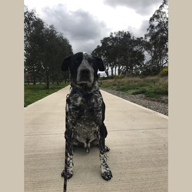 Photo of Sam