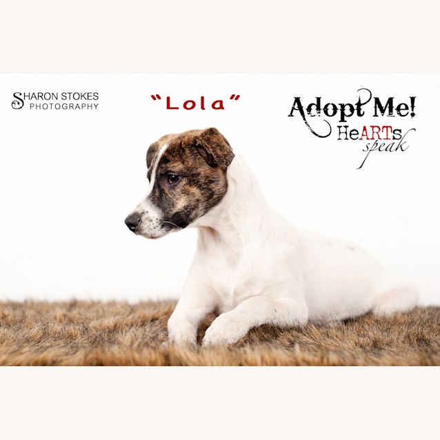 Photo of Lola