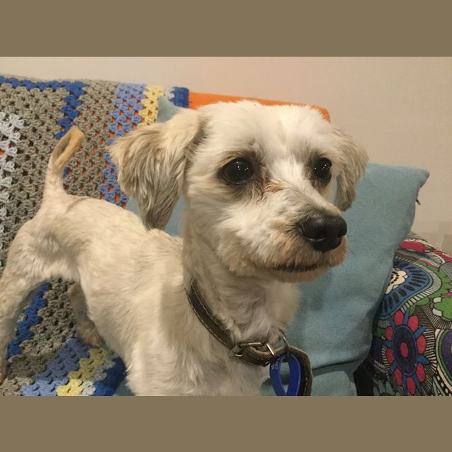 Photo of Frankie