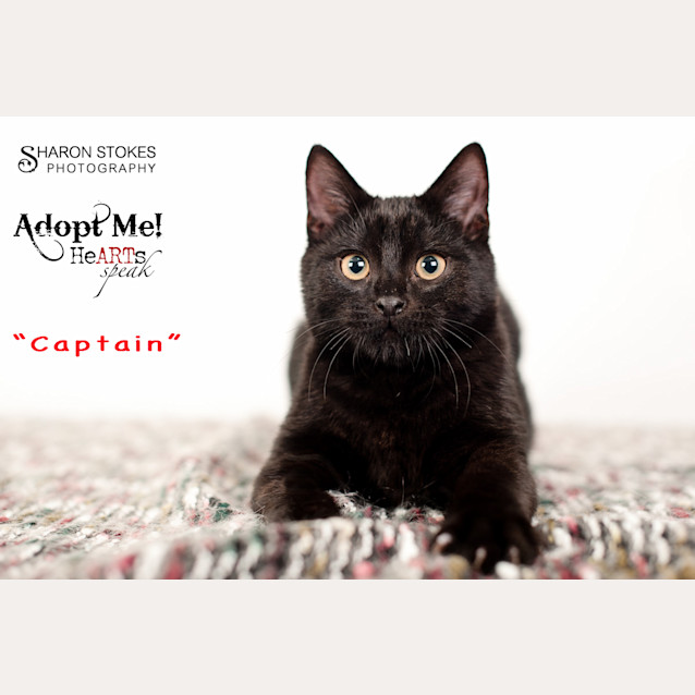Photo of Captain