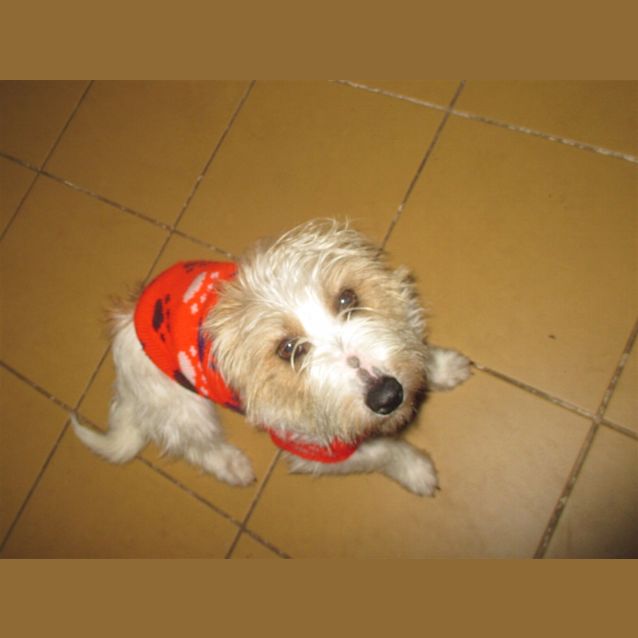 Photo of Molly