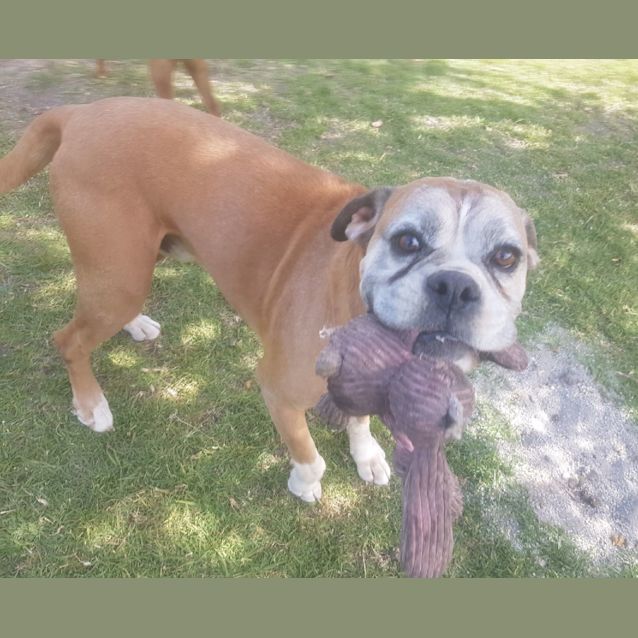 Photo of Sabre