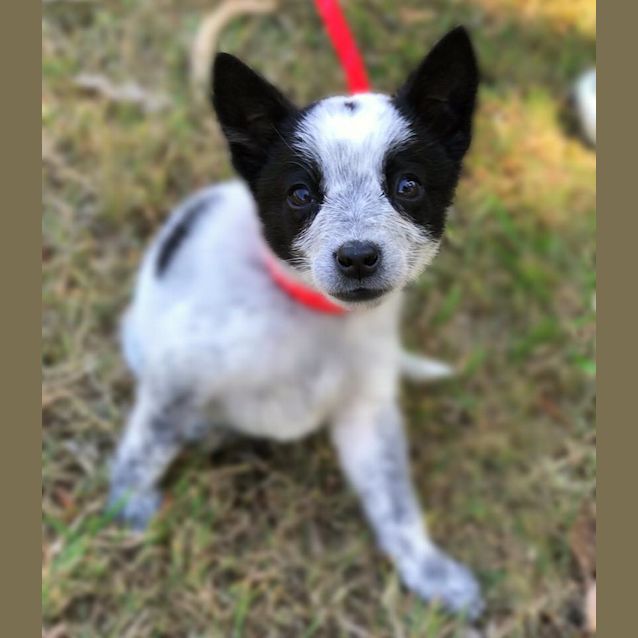 Photo of Maggie 