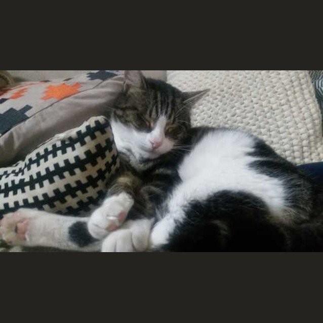 Photo of Roger Ec0360 