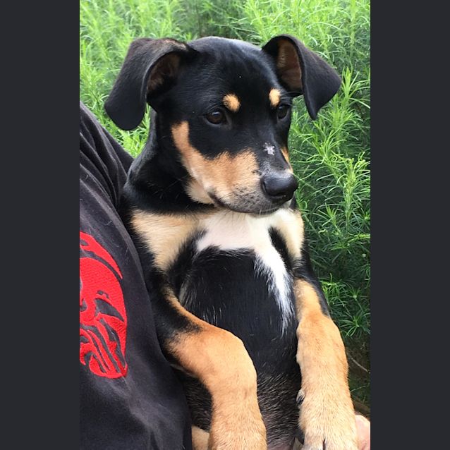 Photo of Finn