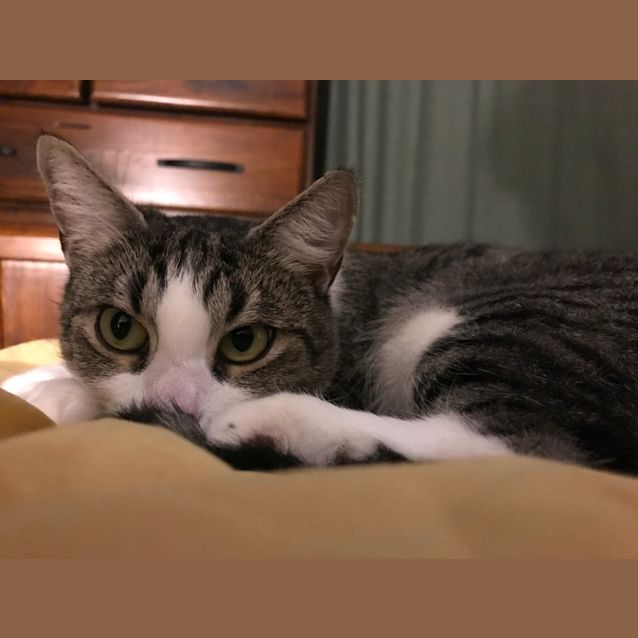 Photo of Ripley
